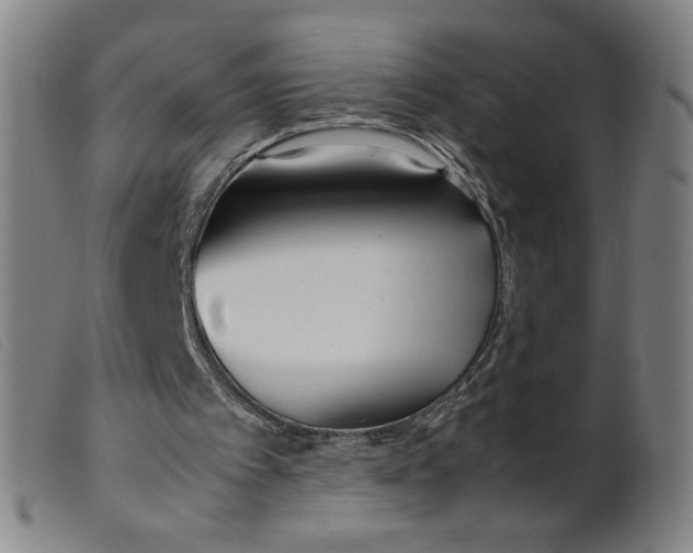 X0000099400097200805221905