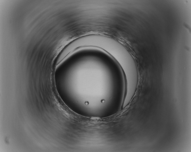 X0000099400098200805221905