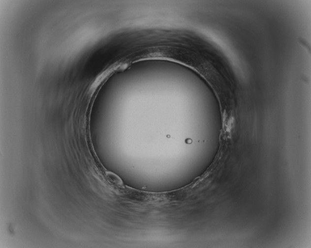 X0000099400099200805221905