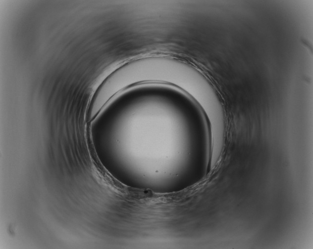 X0000099400100200805221905