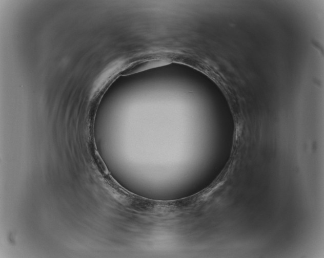 X0000099400101200805221905