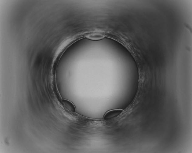 X0000099400102200805221905