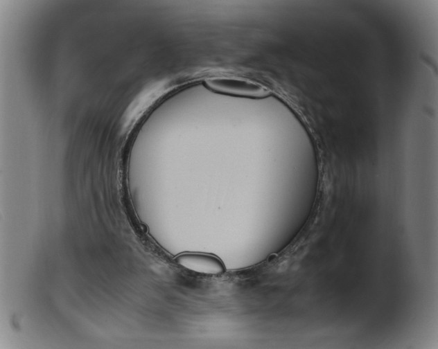 X0000099400103200805221905