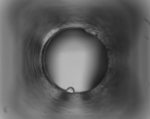 X0000099400104200805221905