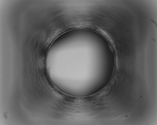 X0000099400105200805221905