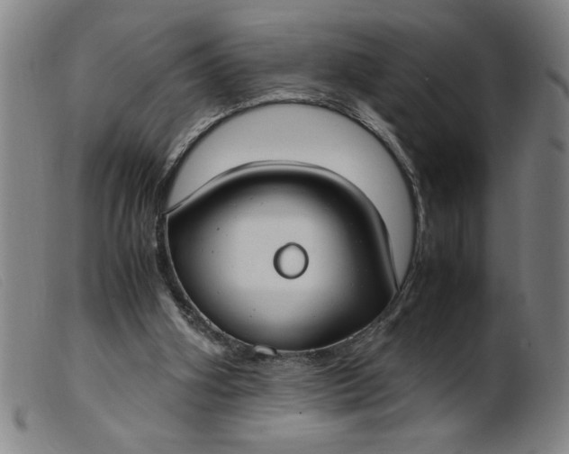 X0000099400106200805221905