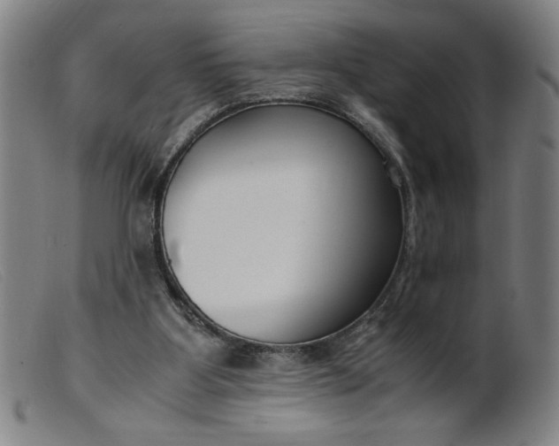 X0000099400107200805221905