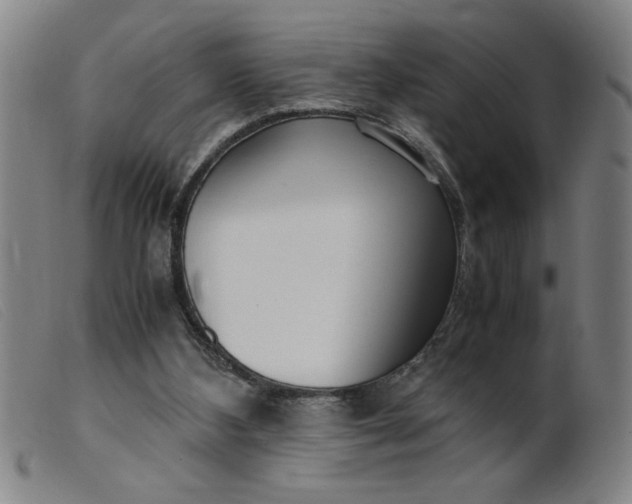 X0000099400108200805221905