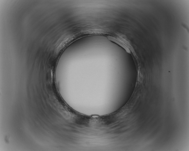 X0000099400109200805221905