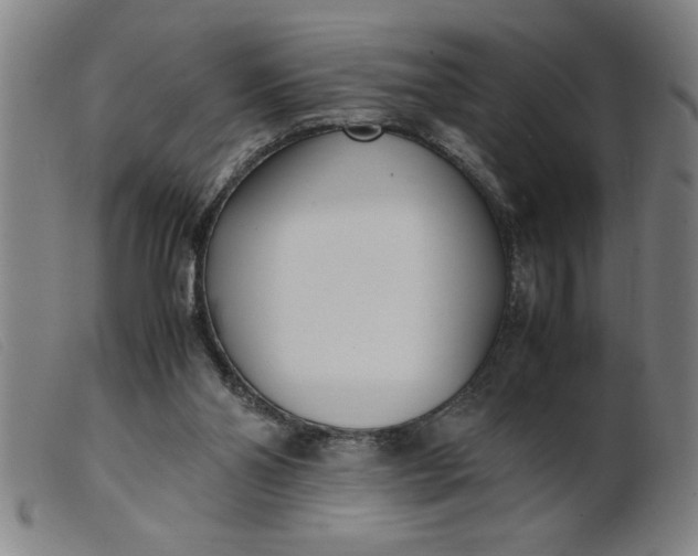 X0000099400110200805221905