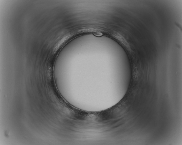 X0000099400111200805221905