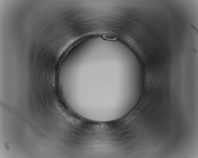 X0000099400112200805221905