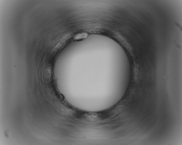 X0000099400113200805221905