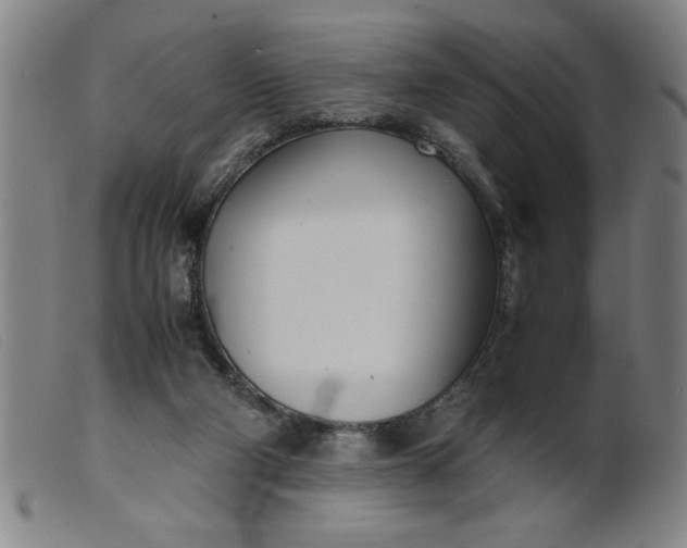 X0000099400114200805221905