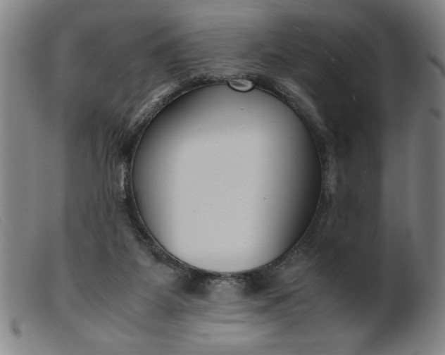 X0000099400115200805221905