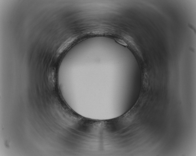 X0000099400116200805221905