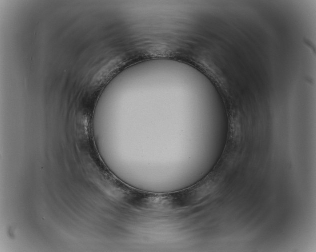 X0000099400117200805221905