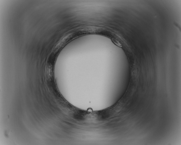 X0000099400119200805221905