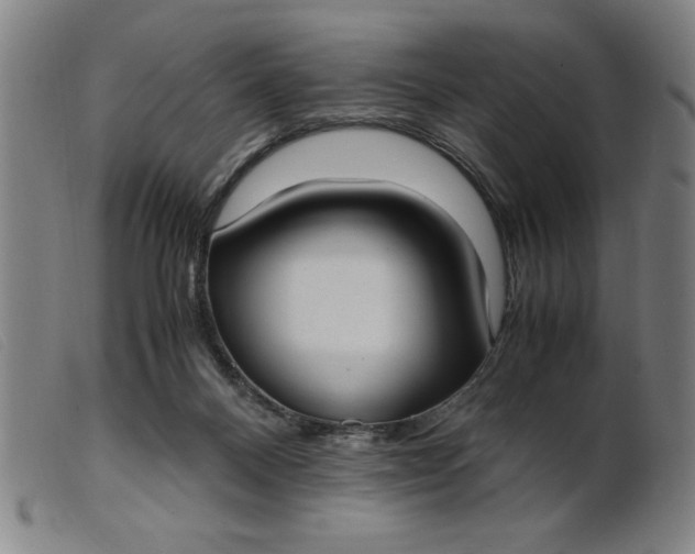 X0000099400120200805221905