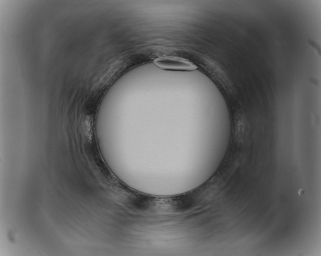 X0000099400121200805221905