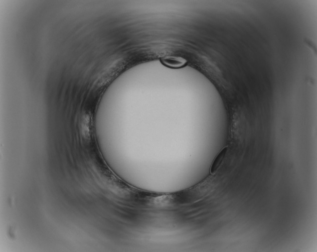 X0000099400122200805221905