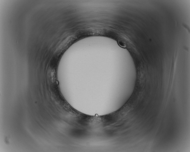 X0000099400123200805221905