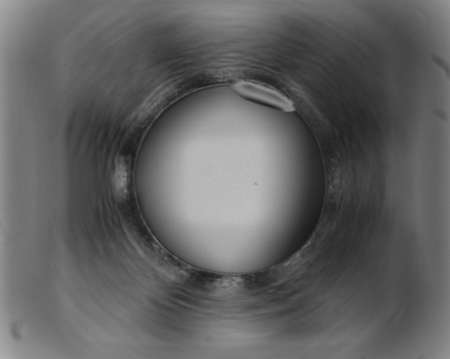 X0000099400124200805221905