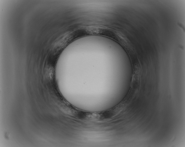 X0000099400125200805221905