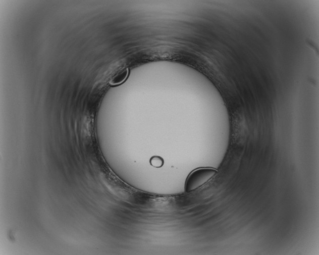 X0000099400126200805221905