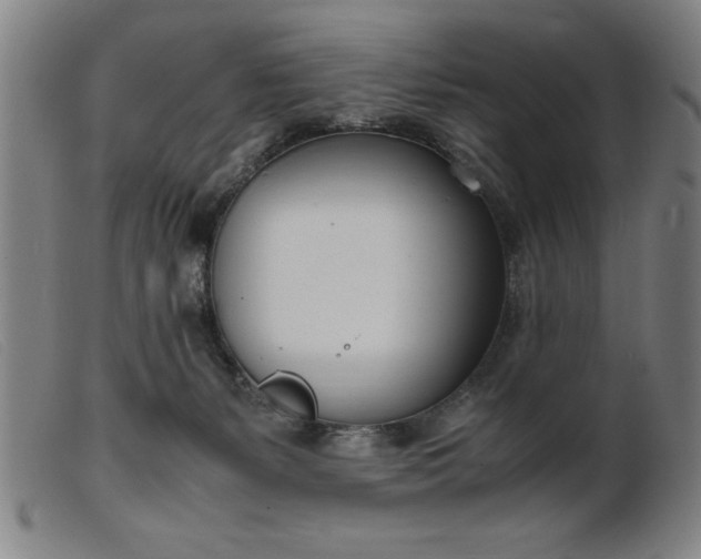 X0000099400127200805221904