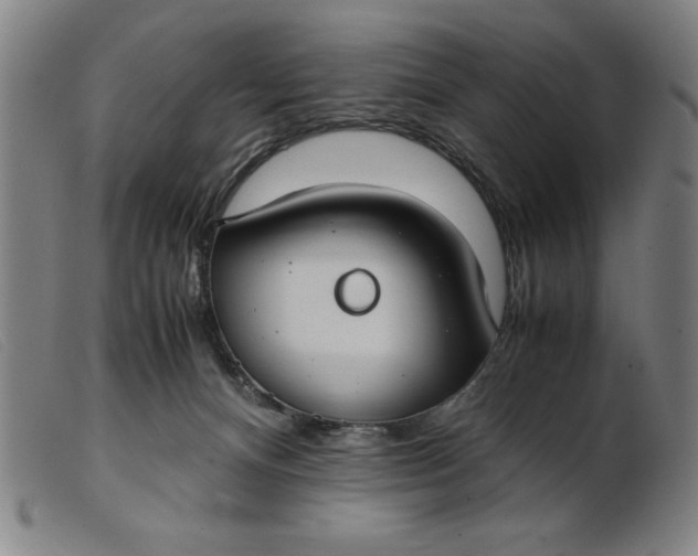 X0000099400128200805221904