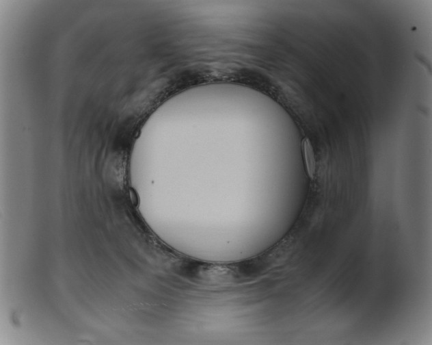 X0000099400129200805221904