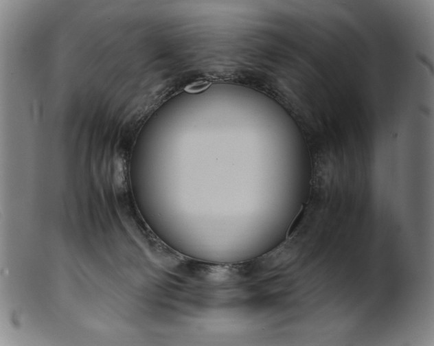 X0000099400130200805221904