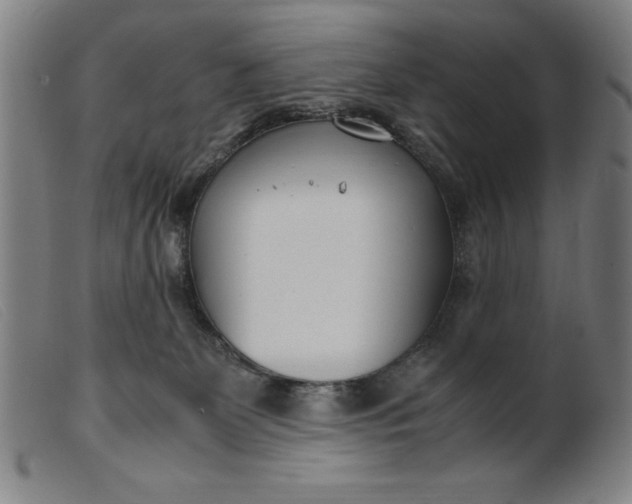 X0000099400131200805221904