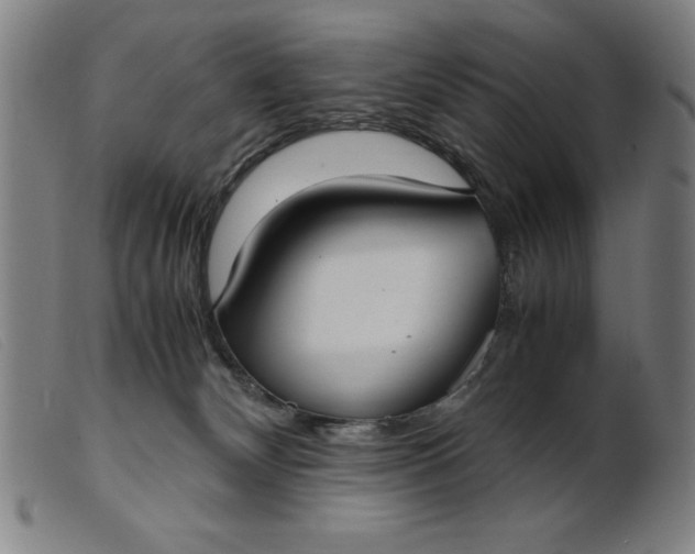 X0000099400132200805221904