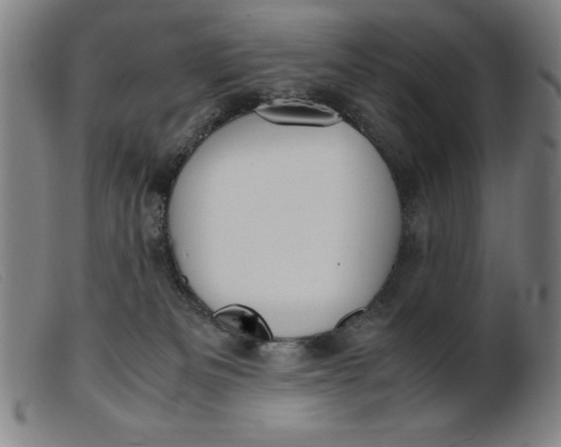 X0000099400133200805221904