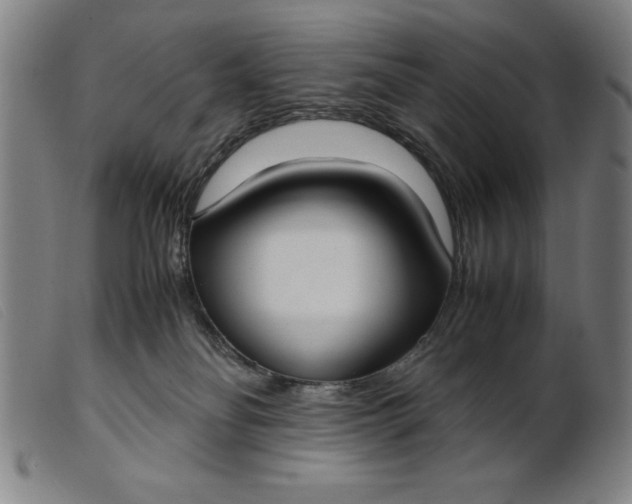 X0000099400134200805221904