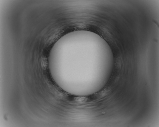 X0000099400135200805221904