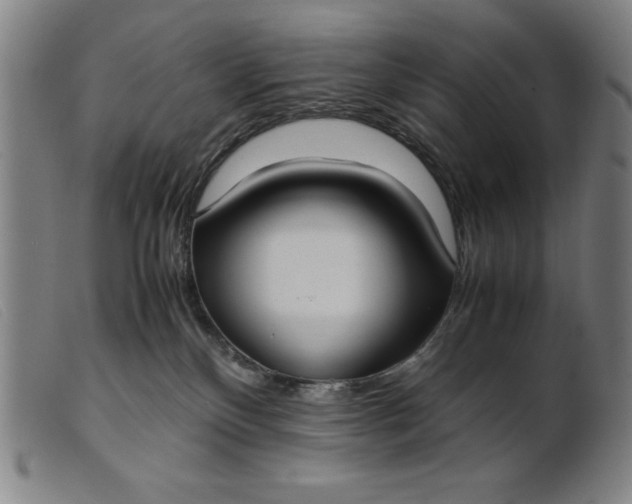 X0000099400136200805221904