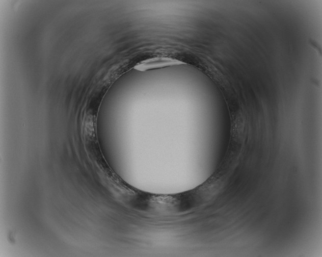 X0000099400137200805221904