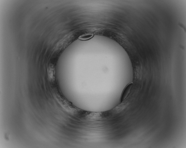 X0000099400138200805221904