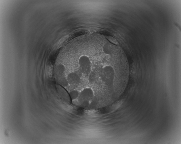 X0000099400139200805221904