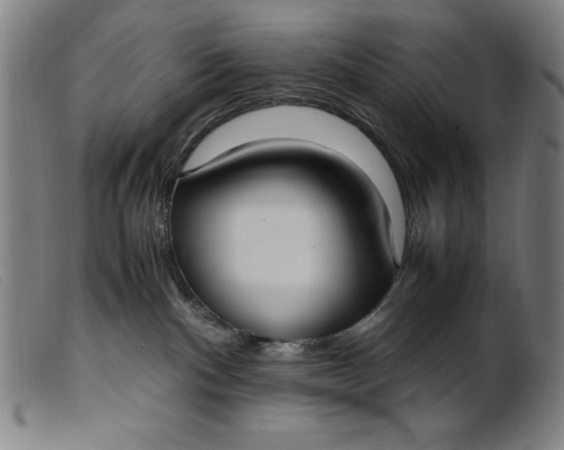 X0000099400140200805221904