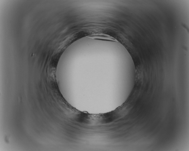 X0000099400141200805221904