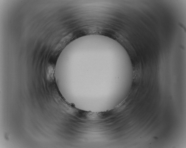 X0000099400142200805221904