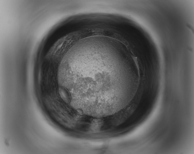 X0000099400143200805221904