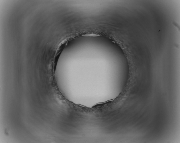 X0000099400144200805221904