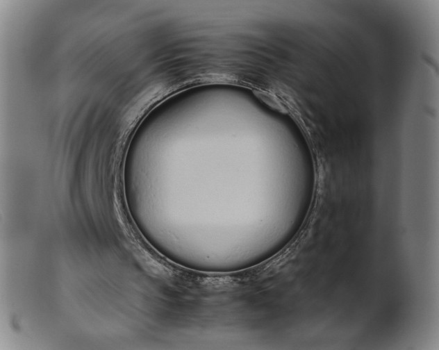 X0000099400145200805221904