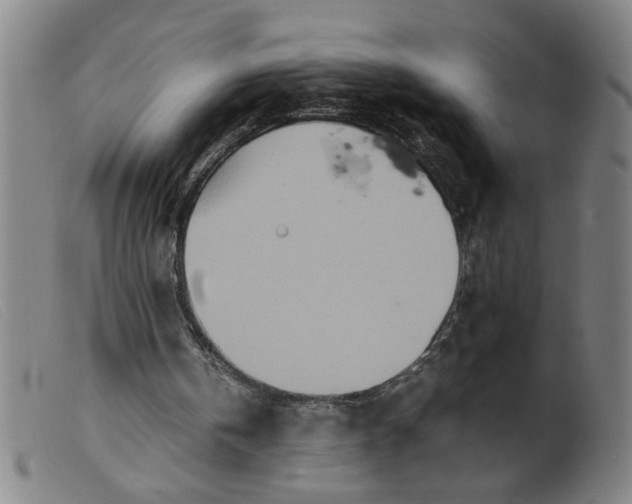 X0000099400146200805221904