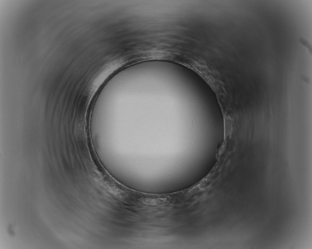 X0000099400147200805221904